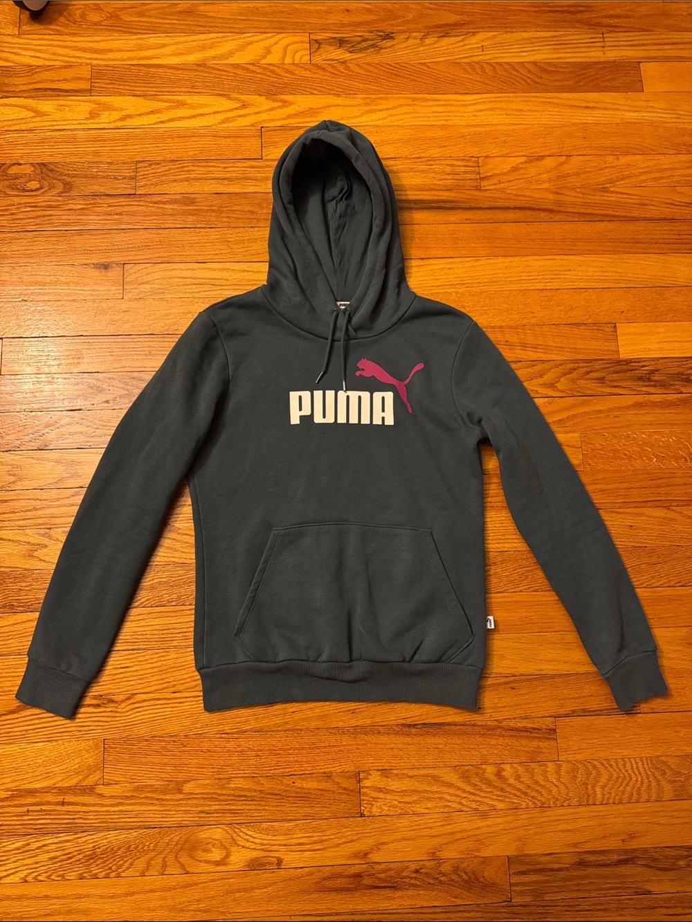 Puma Logo Hooded Sweatshirt Size Small Grey/Blue Color